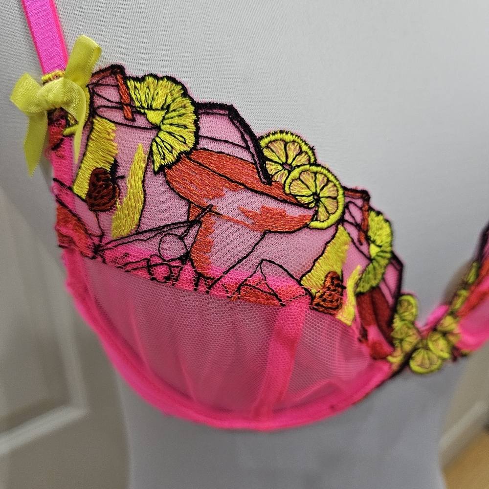 Dolls Kill Playful Promises Mesh Magda Pink Neon Cocktail Embroidery Bra S 32B - Picture 4 of 5